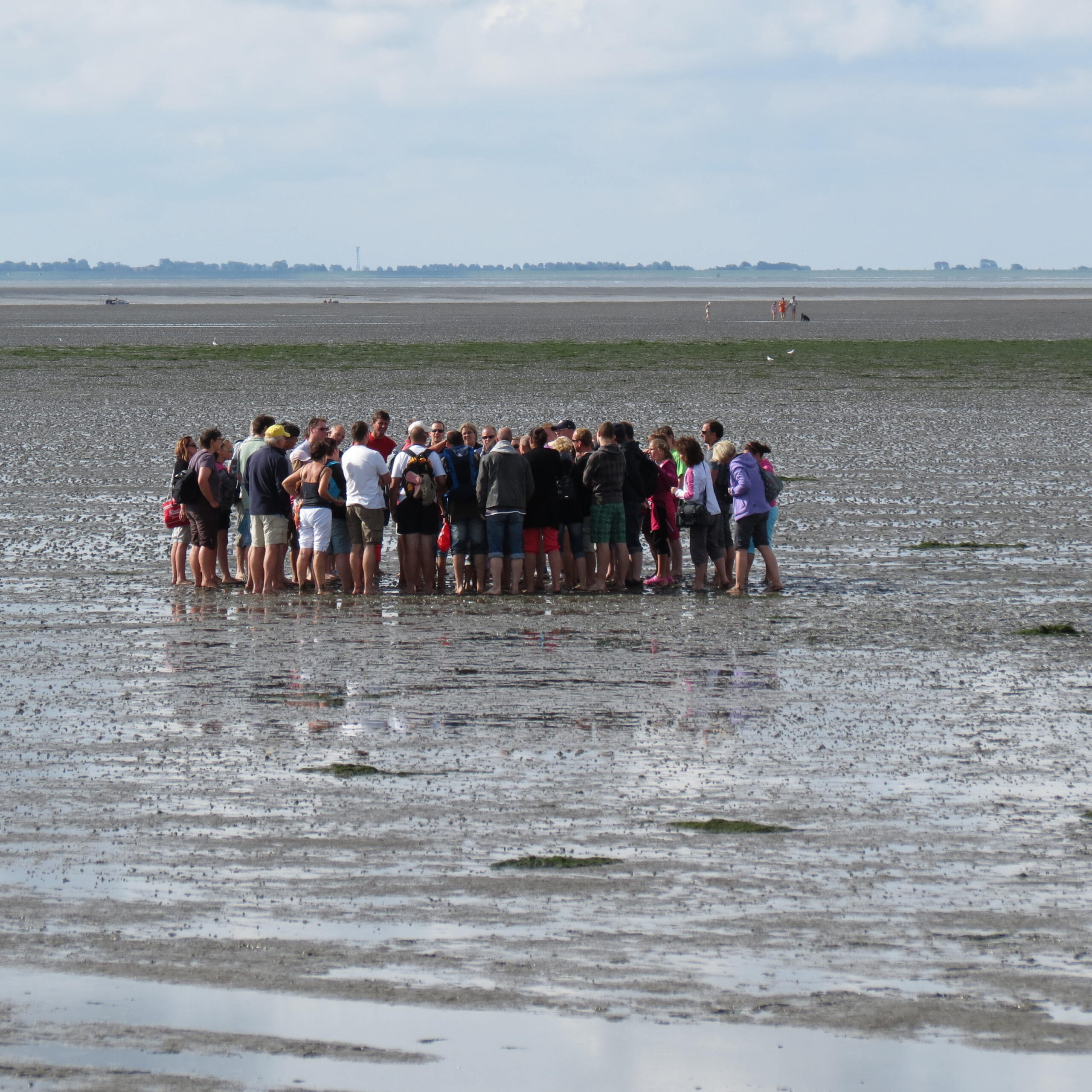 Wattführung an der Nordsee